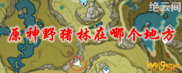 原神野猪林在哪个地方