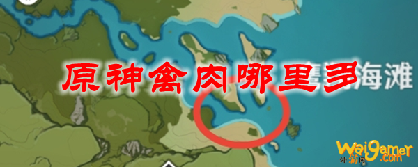 原神禽肉哪里多