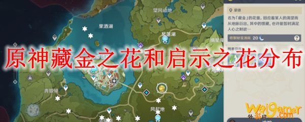原神藏金之花和启示之花分布