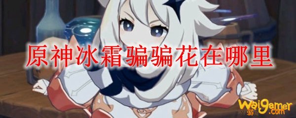 原神冰霜骗骗花在哪里