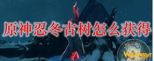 原神忍冬古树怎么获得