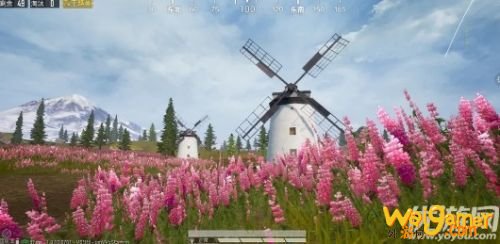 和平精英鲁冰花海在哪里 和平精英鲁冰花海地图位置 和平精英鲁冰花海在哪里 和平精英鲁冰花海地图位置