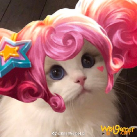 王者荣耀猫咪法师接头头像大全 小乔大乔可爱萌头像 王者荣耀猫咪法师接头头像大全 小乔大乔可爱萌头像