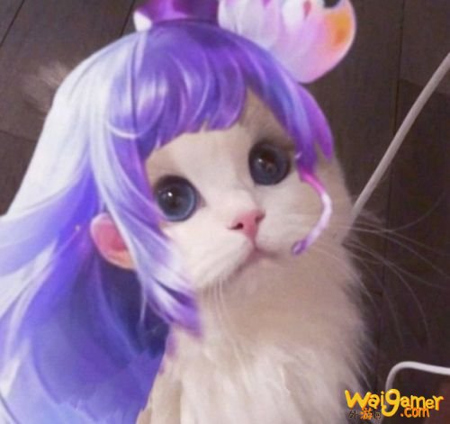 王者荣耀猫咪法师接头头像大全 小乔大乔可爱萌头像 王者荣耀猫咪法师接头头像大全 小乔大乔可爱萌头像