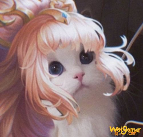 王者荣耀猫咪法师接头头像大全 小乔大乔可爱萌头像 王者荣耀猫咪法师接头头像大全 小乔大乔可爱萌头像