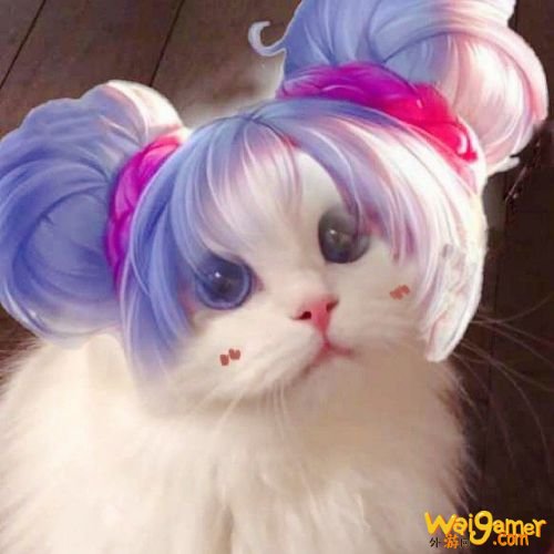 王者荣耀猫咪法师接头头像大全 小乔大乔可爱萌头像 王者荣耀猫咪法师接头头像大全 小乔大乔可爱萌头像