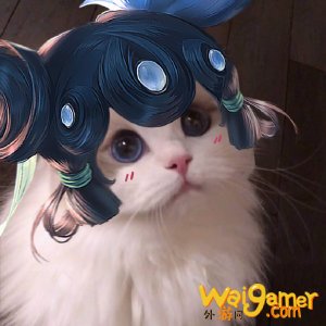 王者荣耀猫咪法师接头头像大全 小乔大乔可爱萌头像 王者荣耀猫咪法师接头头像大全 小乔大乔可爱萌头像