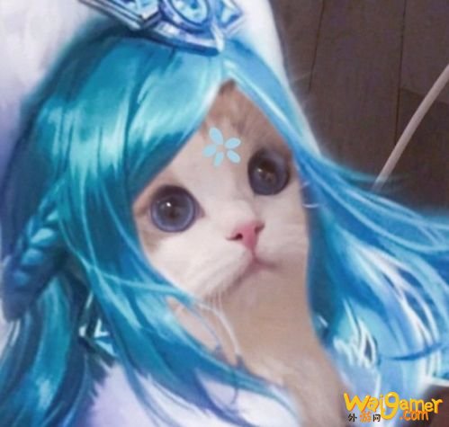 王者荣耀猫咪法师接头头像大全 小乔大乔可爱萌头像 王者荣耀猫咪法师接头头像大全 小乔大乔可爱萌头像