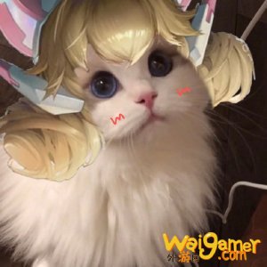 王者荣耀猫咪法师接头头像大全 小乔大乔可爱萌头像 王者荣耀猫咪法师接头头像大全 小乔大乔可爱萌头像