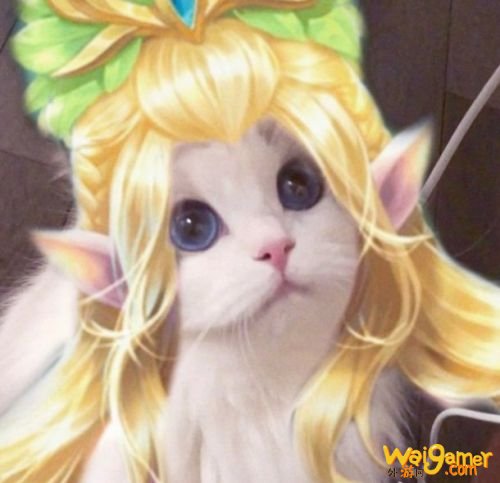 王者荣耀猫咪法师接头头像大全 小乔大乔可爱萌头像 王者荣耀猫咪法师接头头像大全 小乔大乔可爱萌头像