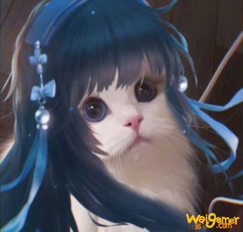 王者荣耀猫咪法师接头头像大全 小乔大乔可爱萌头像 王者荣耀猫咪法师接头头像大全 小乔大乔可爱萌头像