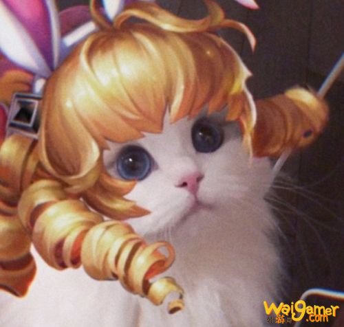 王者荣耀猫咪法师接头头像大全 小乔大乔可爱萌头像 王者荣耀猫咪法师接头头像大全 小乔大乔可爱萌头像