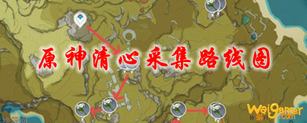 原神清心采集路线图