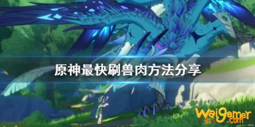 原神怎么快速刷兽肉攻略 最快刷兽肉技巧 原神怎么快速刷兽肉攻略 最快刷兽肉技巧