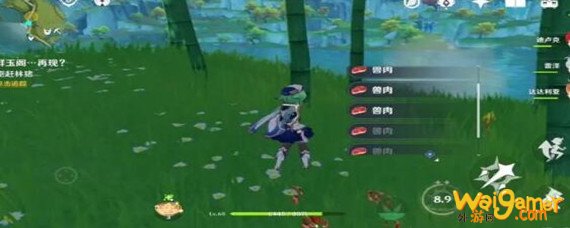 原神群玉阁再现任务怎么刷兽肉-群玉阁再现任务刷兽肉方法_原神攻略APP