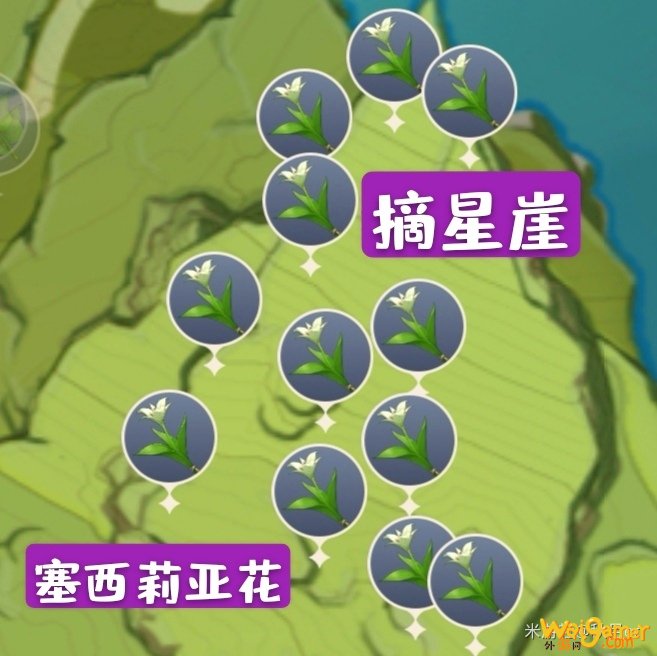 原神怎么快速采集100个蒙德特产