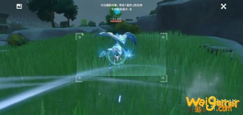 原神蓝色生物介绍 原神蓝色生物拍照方法