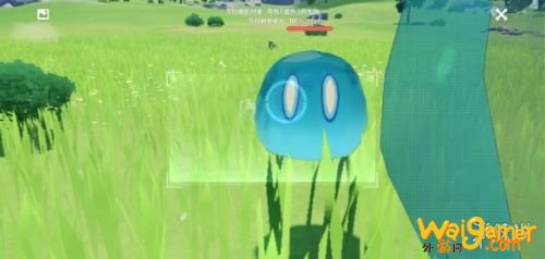 原神蓝色生物介绍 原神蓝色生物拍照方法