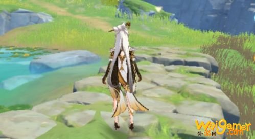 原神天遒宝迹任务藏宝位置在哪里？天遒宝迹任务攻略