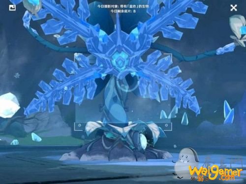 原神带有蓝色的生物大全 福至五彩蓝色生物拍照地点位置推荐 原神带有蓝色的生物大全 福至五彩蓝色生物拍照地点位置推荐