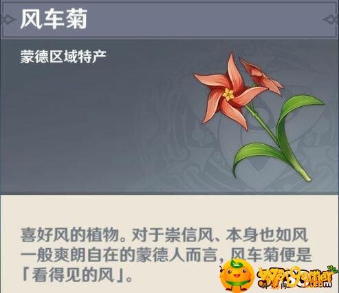 原神风车菊位置在哪里-风车菊位置介绍_原神攻略APP
