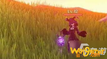 《原神》紫色采集物拍照地点介绍 紫色采集物汇总