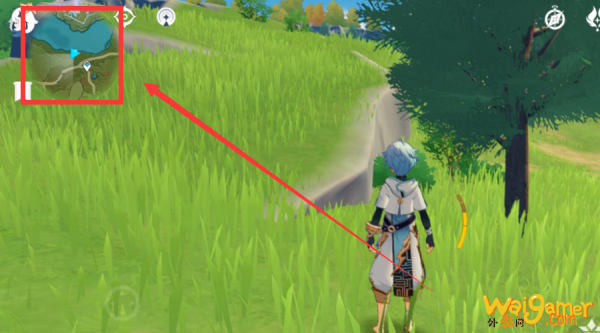 白萝卜在哪里获得 原神白萝卜在哪里采集