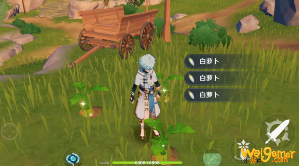 白萝卜在哪里获得 原神白萝卜在哪里采集