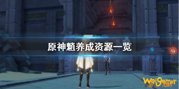 原神魈怎么养？魈养成资源一览