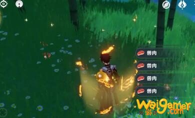 原神猪肉怎么刷？猪肉获取攻略