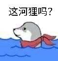 《抖音》这河里吗表情包分享