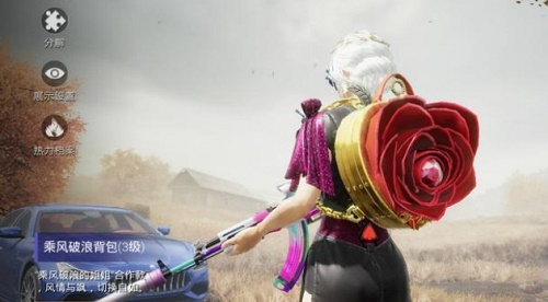 《和平精英》姐姐的化妆间抽完价格介绍