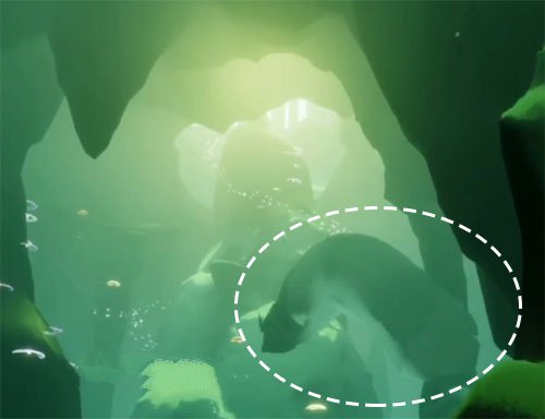 《光遇》白冥龙位置介绍