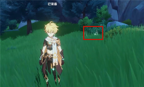 《原神》风种子使用方法