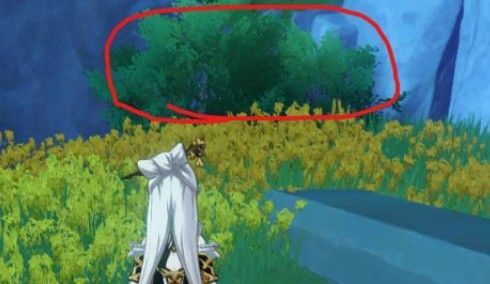 《原神》嘉义位置介绍