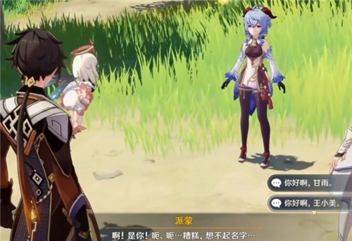 《原神》王小美梗出处含义