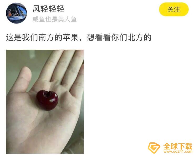 车厘子梗意思说明