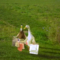 《抖音》无脑下单表情包下载