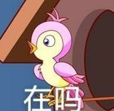 抖音布谷鸟七夕表情包