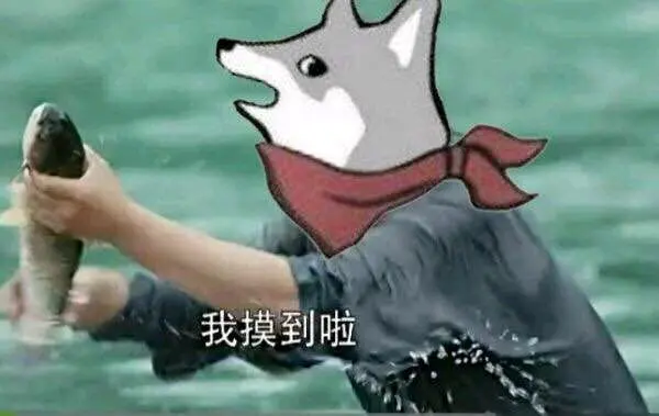 《抖音短视频》抖音这合理吗quin表情包分享