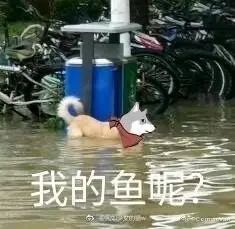 《抖音短视频》抖音这合理吗quin表情包分享