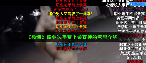 《B站》职业选手禁止参赛梗的意思介绍