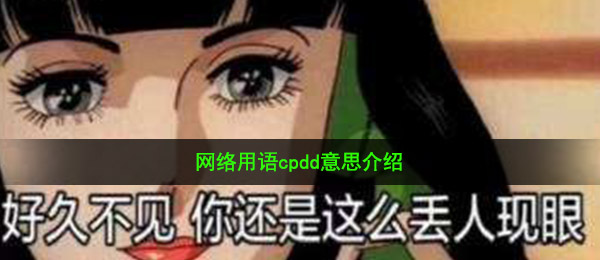 网络用语cpdd意思介绍