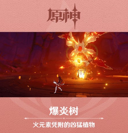 《原神》新怪物爆炎树图鉴一览