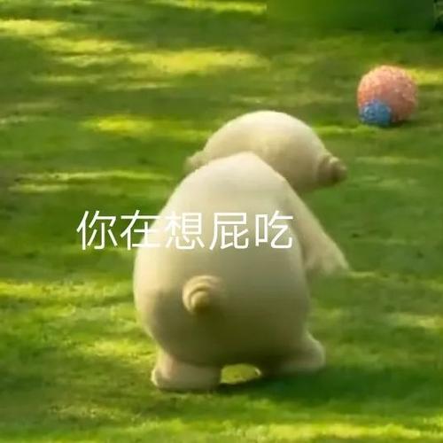 《抖音》?玛卡巴卡表情包大全分享