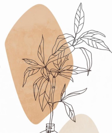 iOS14小组件INS风壁纸大全分享