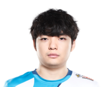 dwg战队详细资料介绍