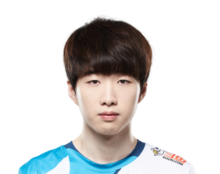 dwg战队详细资料介绍