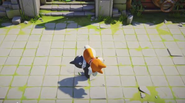 《动物派对》爬墙方法介绍