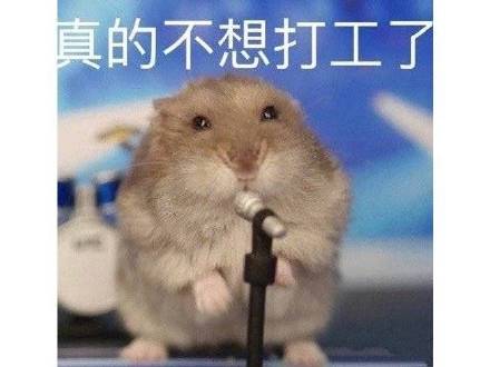打工人表情包大全分享